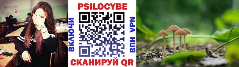ссылка на мегу зеркало  Уржум  Псилоцибиновые грибы Psilocybe 